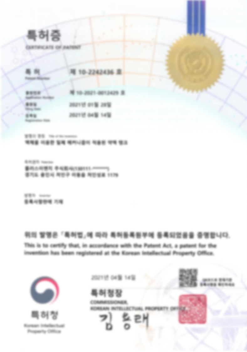 특허 제 10-2242436호