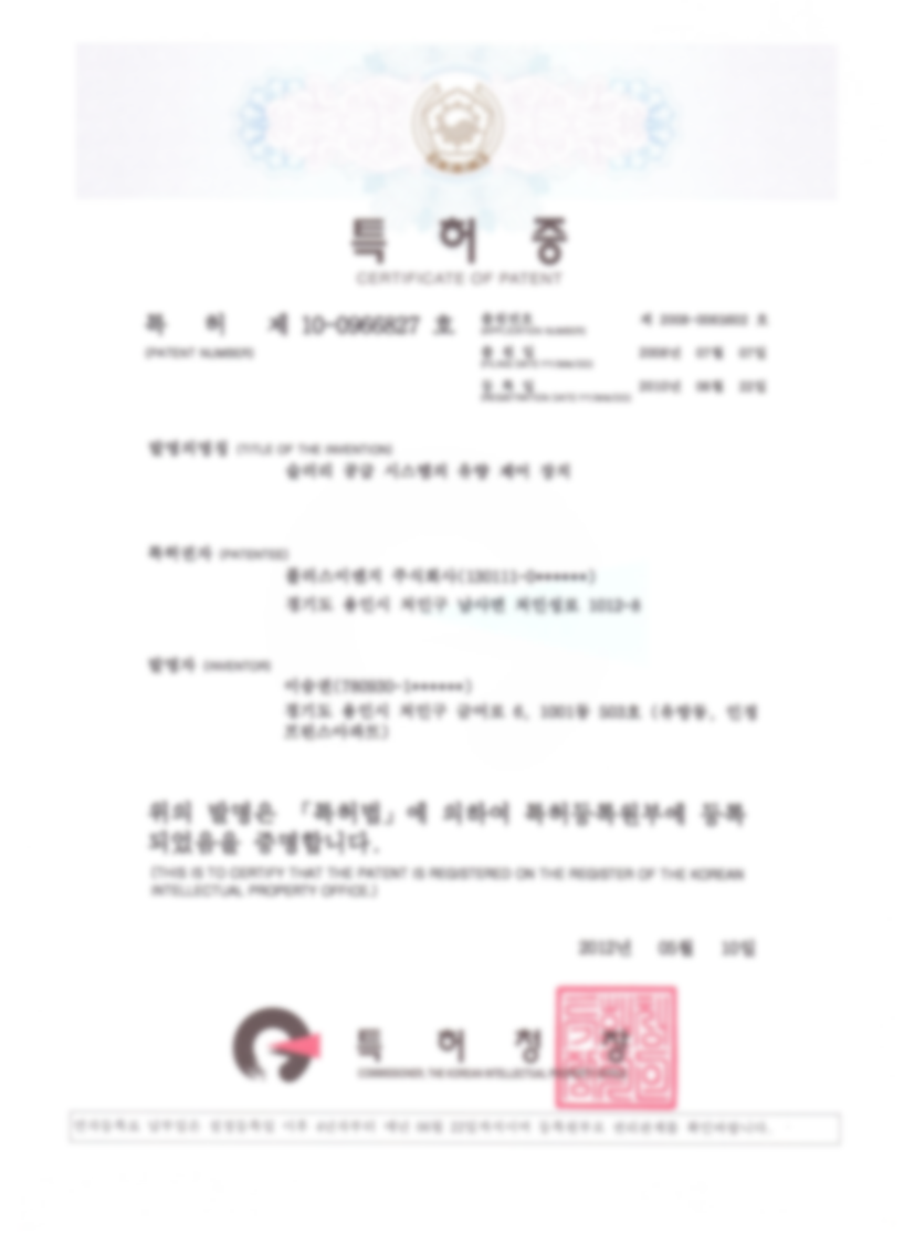 Patent No. 10-0966827 (ROK)